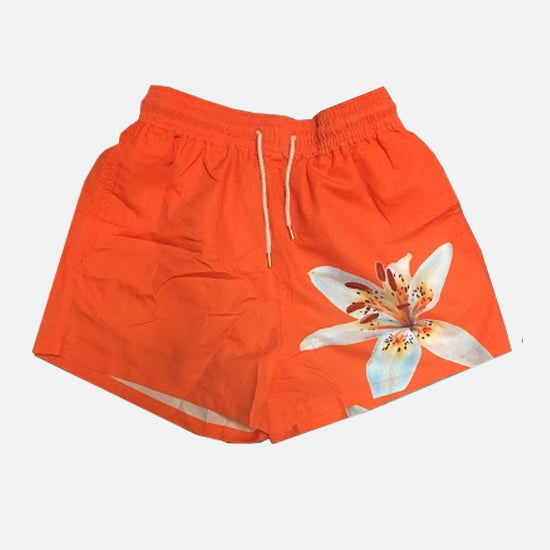 Orange Asiatic Lily Trunks