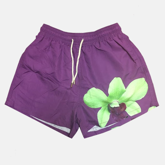 Purple Orchid Trunks